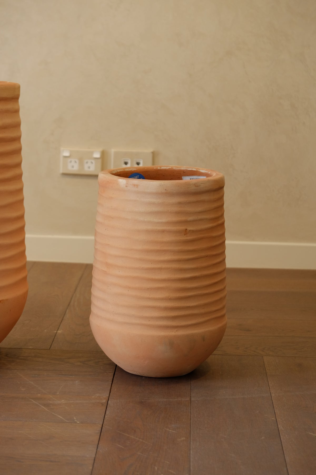 Olmos Pot