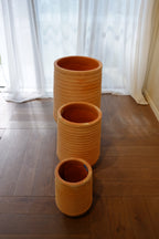 Olmos Pot