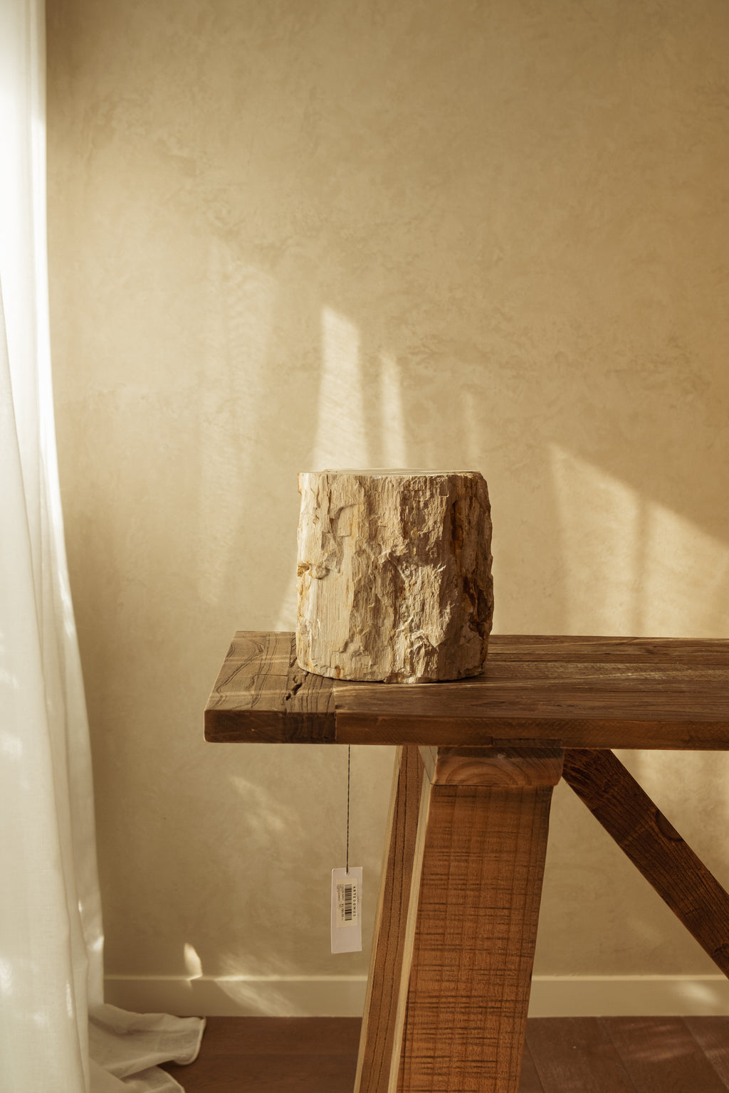 Petrified Wood Pot – 240 mm