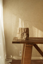 Petrified Wood Pot – 240 mm