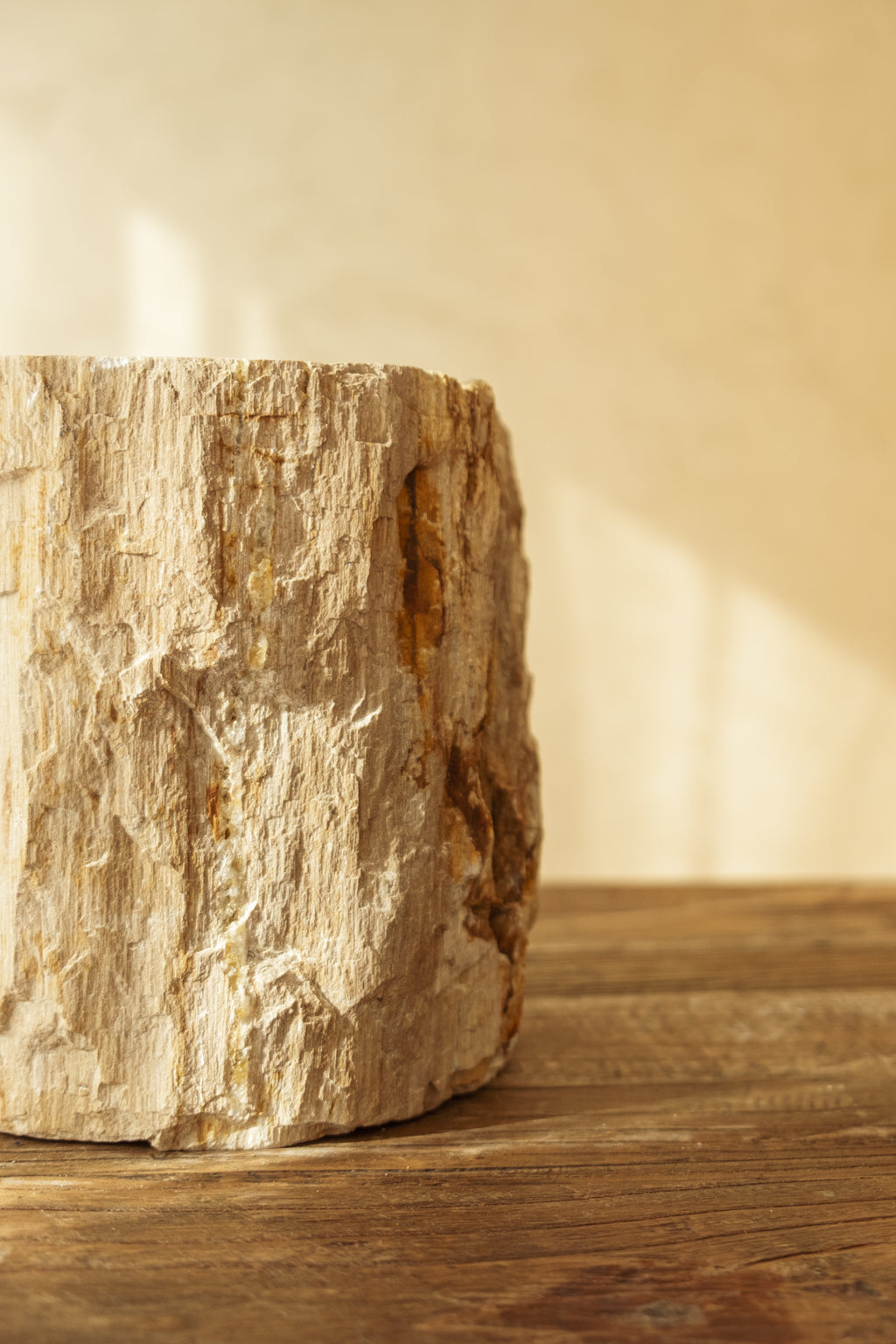 Petrified Wood Pot – 240 mm