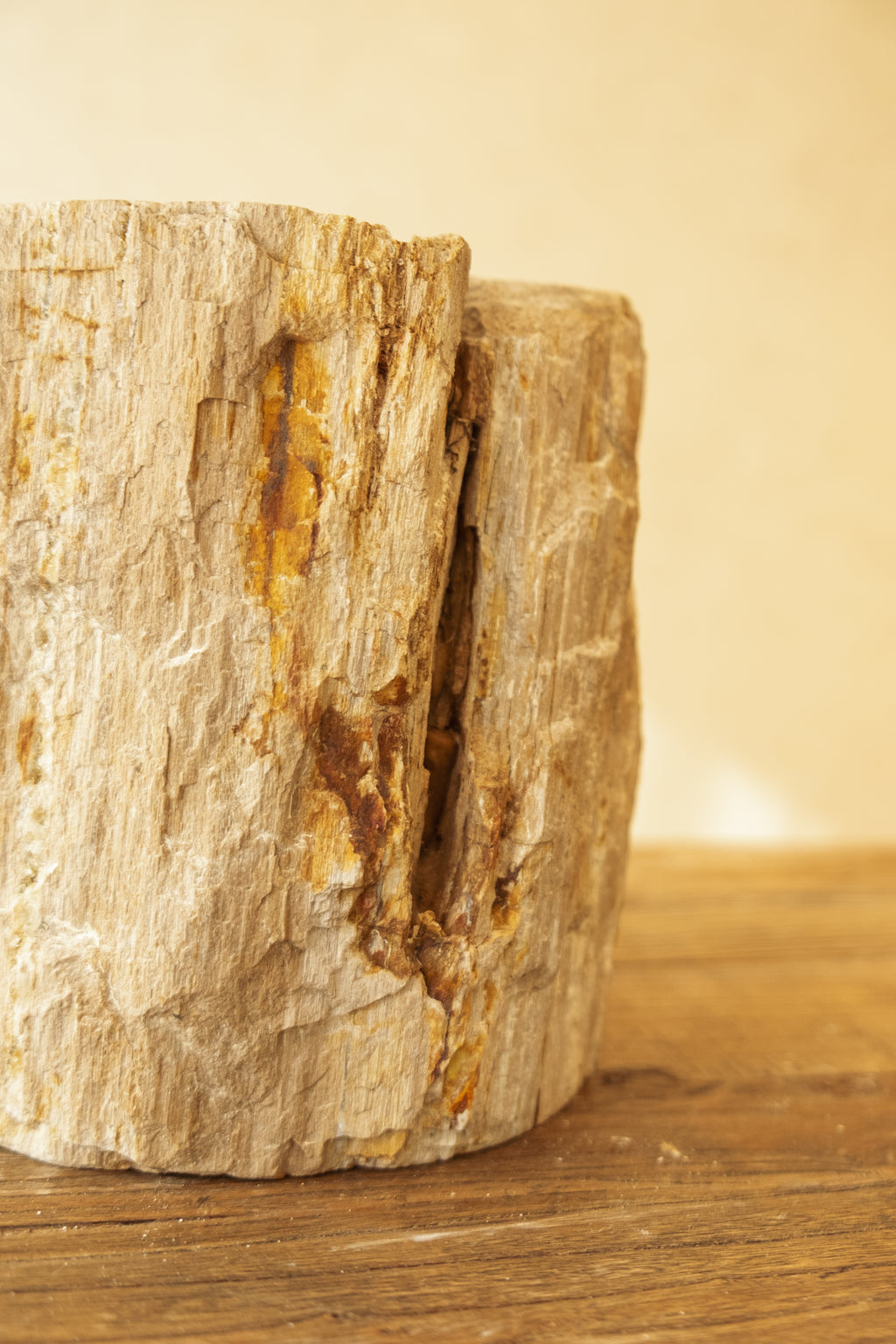 Petrified Wood Pot – 240 mm