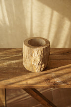 Petrified Wood Pot – 240 mm