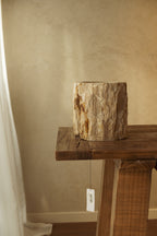 Petrified Wood Pot – 240 mm