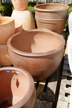 TRON Pot