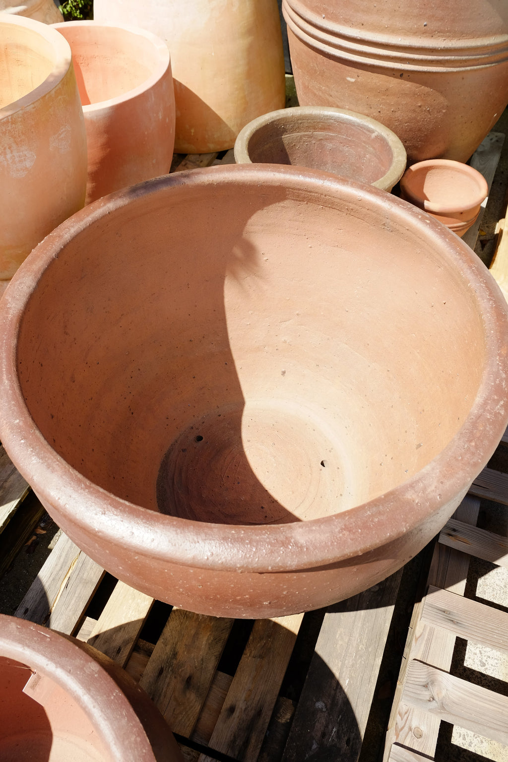 TRON Pot