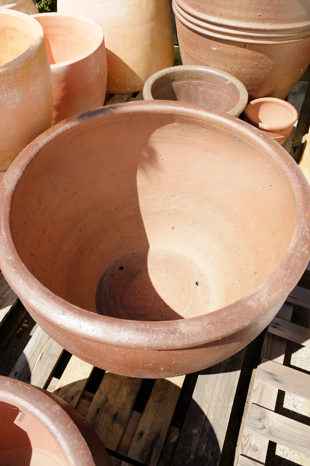 TRON Pot