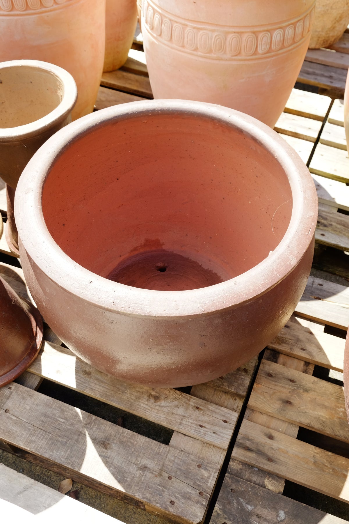 TRON Pot