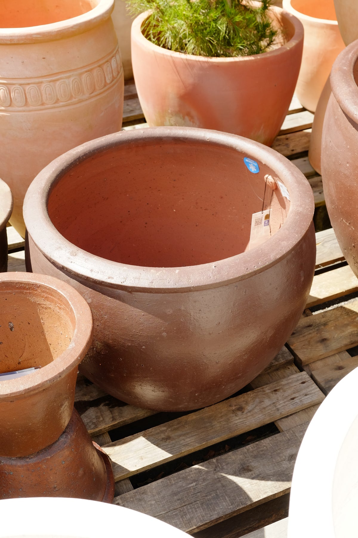 TRON Pot