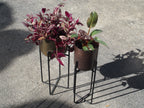 Bronze Planter with Stand (x 2 sizes)