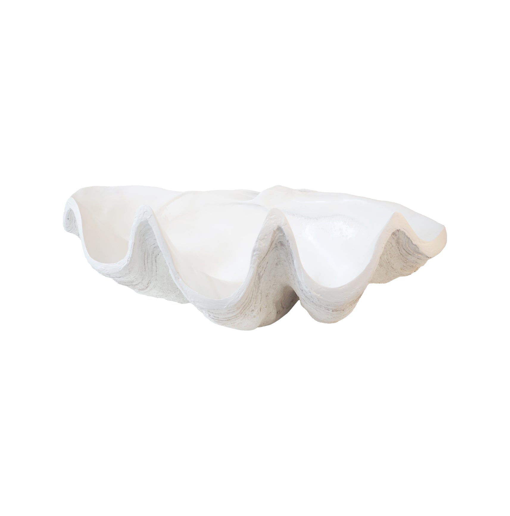 Shell Clam Resin