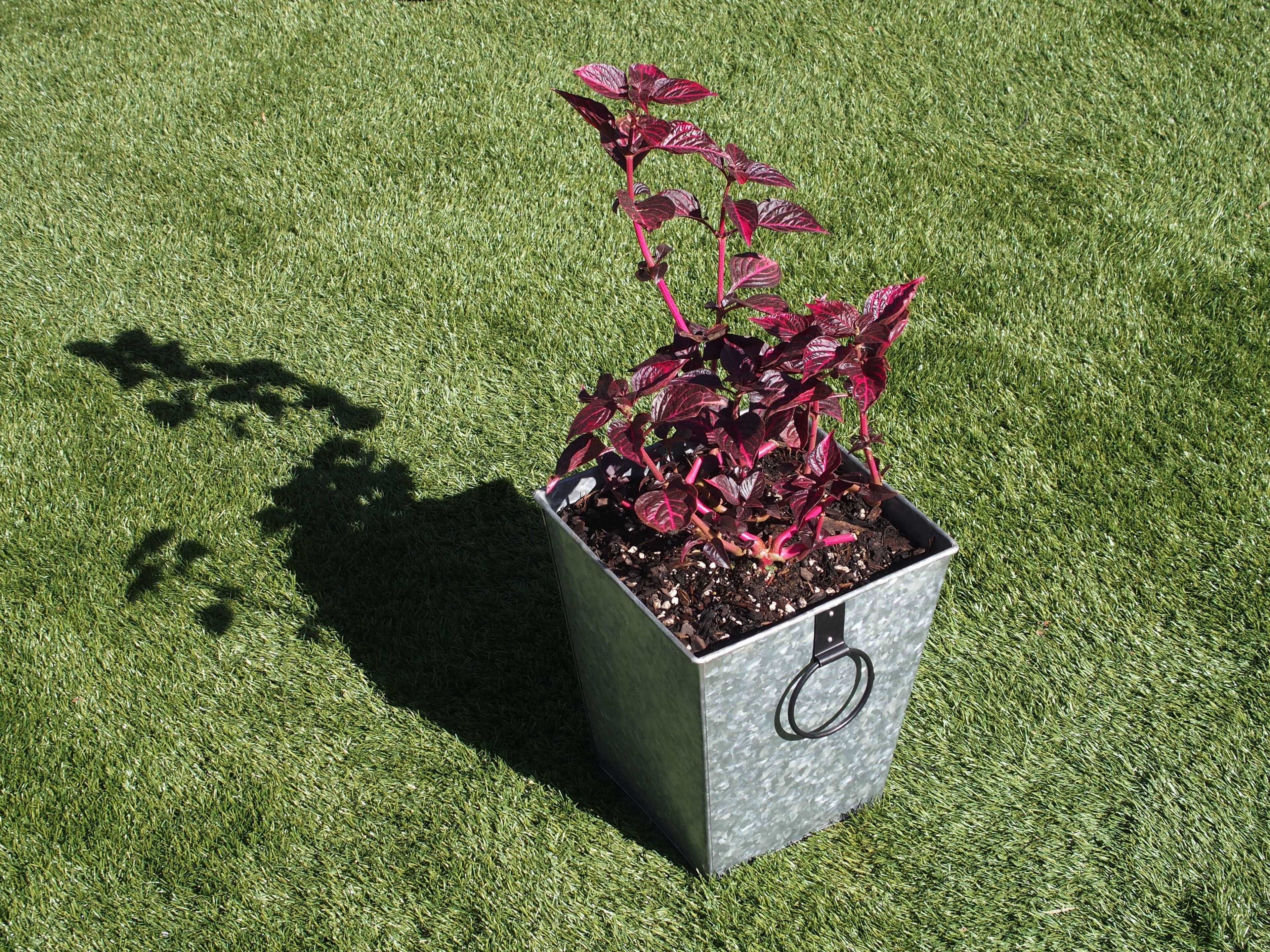 Galvanised Square Planter with Handles (x 2 sizes)