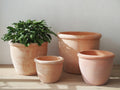 Terracotta Roll Top