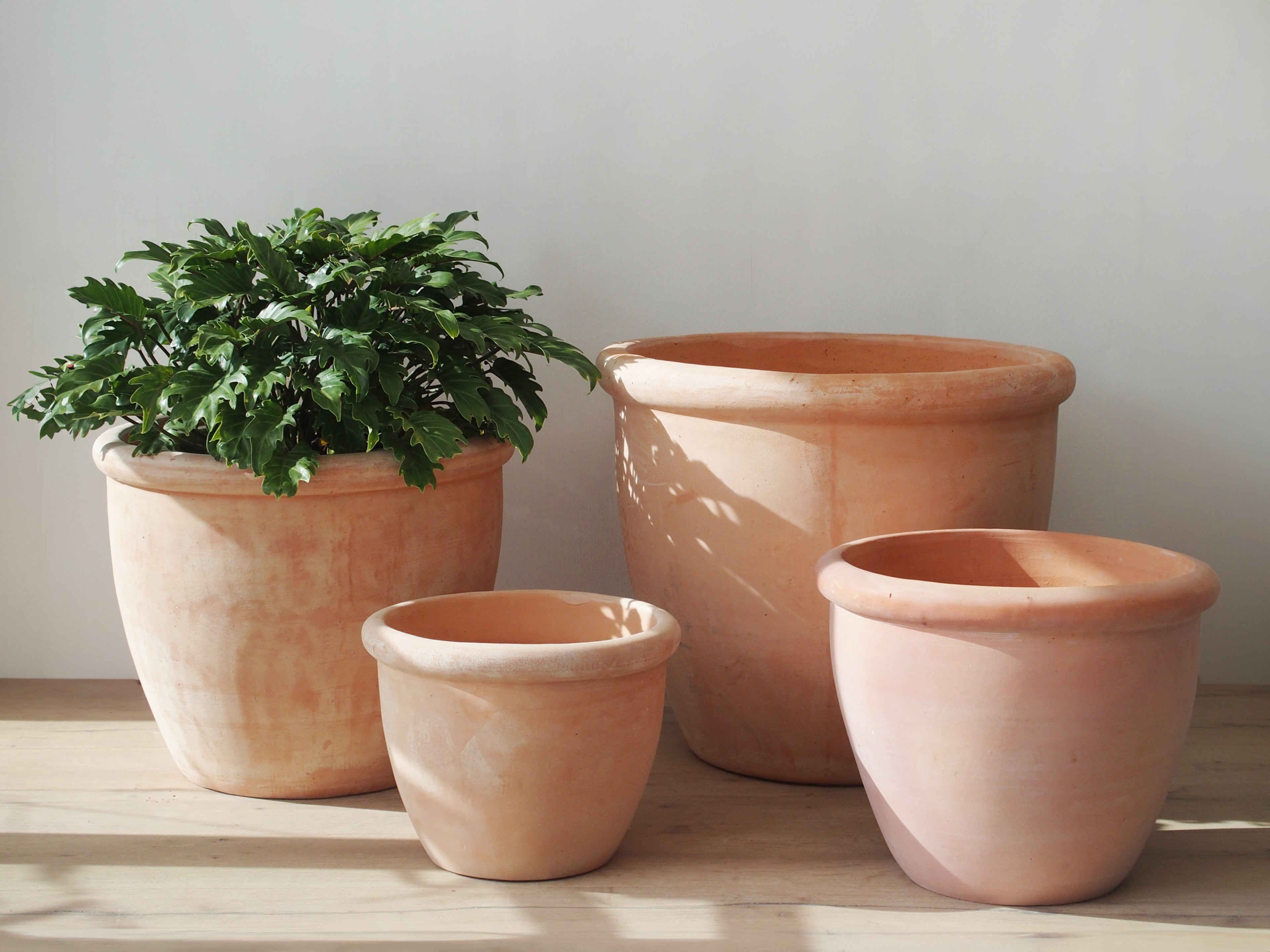 Terracotta Roll Top
