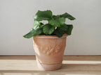 Terracotta Angel Round