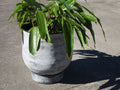 Galvanised Barrel Planter with Saucer