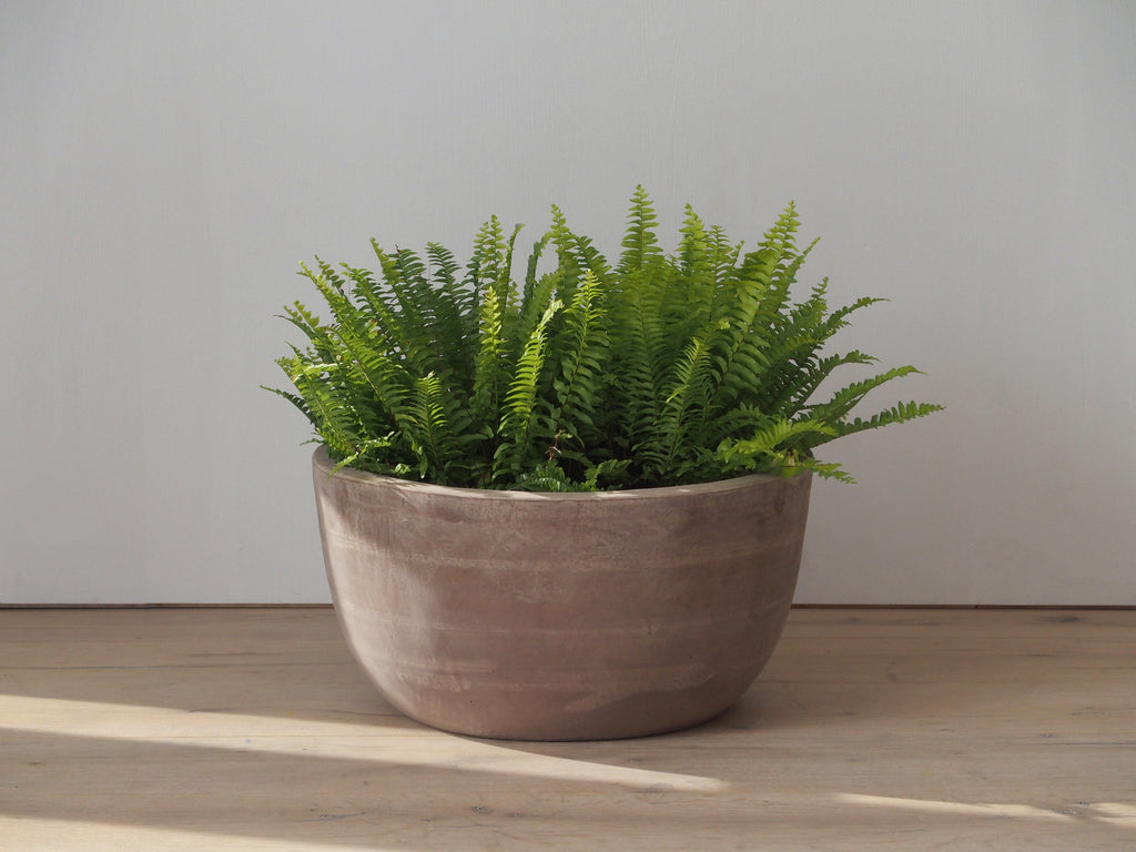 Terracotta Bowl