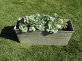 Galvanised Rectangle Planter wih Wreath Pattern