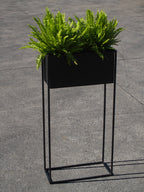 Black Planter with Stand (x 2 sizes)