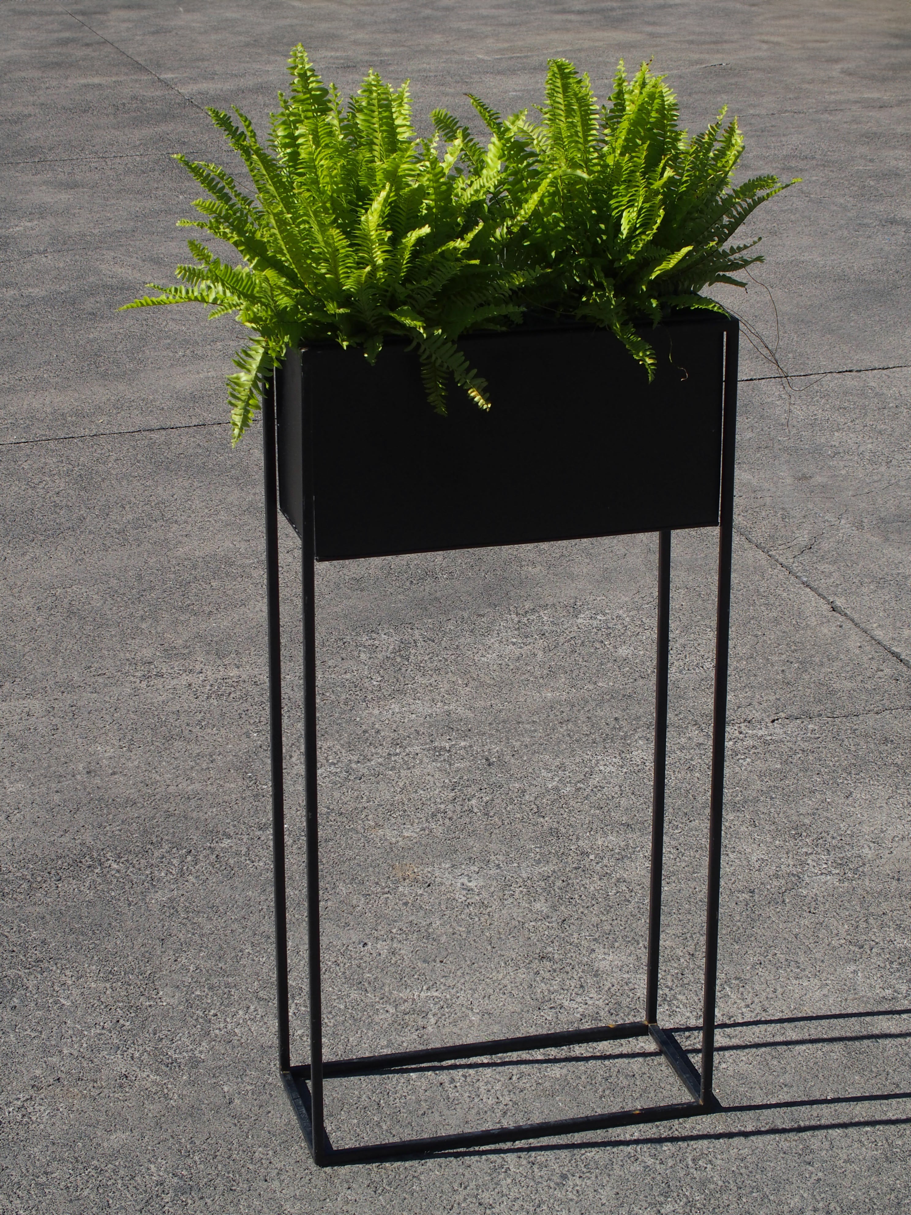 Black Planter with Stand (x 2 sizes)