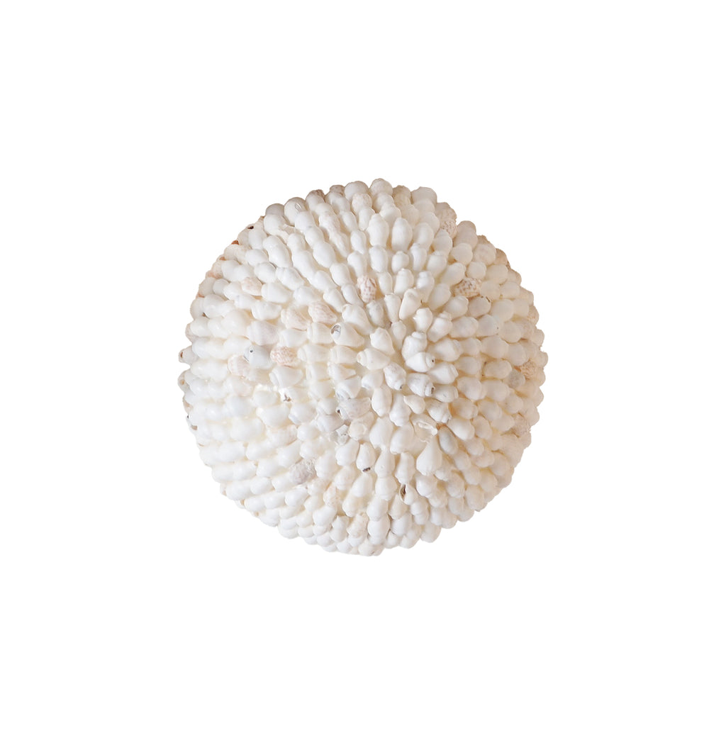 Shell Ball Small