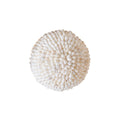 Shell Ball Small