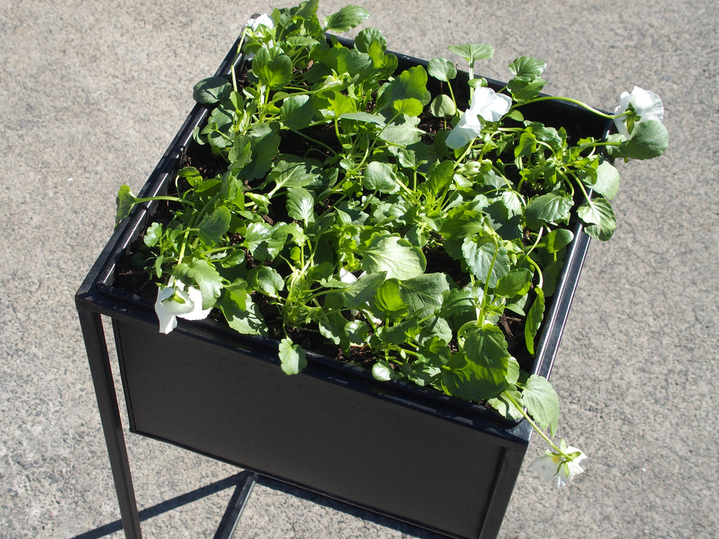 Black Planter with Stand (x 2 sizes)