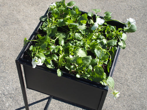 Black Planter with Stand (x 2 sizes)